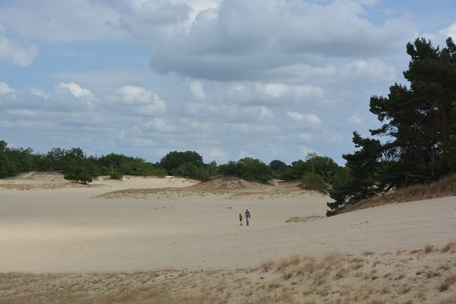 Wandelen Loonse en Drunense duinen - Mooiste natuur Noord-Brabant