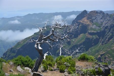 Wandeling Pico Ruivo - Madeira